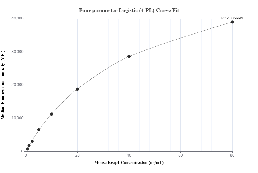 Cytometric bead array standard curve of MP00586-3, MOUSE Keap1 Recombinant Matched Antibody Pair, PBS Only. Capture antibody: 83599-2-PBS. Detection antibody: 83599-4-PBS. Standard: Ag35035. Range: 0.625-80 ng/mL.  